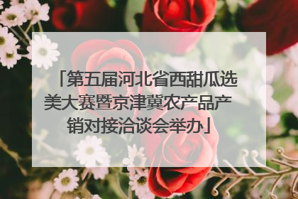 第五届河北省西甜瓜选美大赛暨京津冀农产品产销对接洽谈会举办