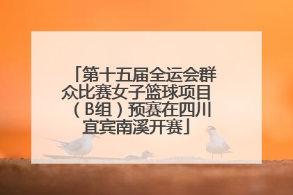 第十五届全运会群众比赛女子篮球项目（B组）预赛在四川宜宾南溪开赛