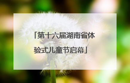第十六届湖南省体验式儿童节启幕
