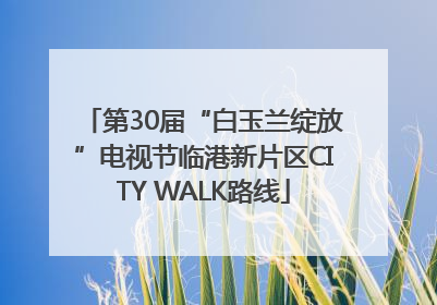 第30届“白玉兰绽放”电视节临港新片区CITY WALK路线