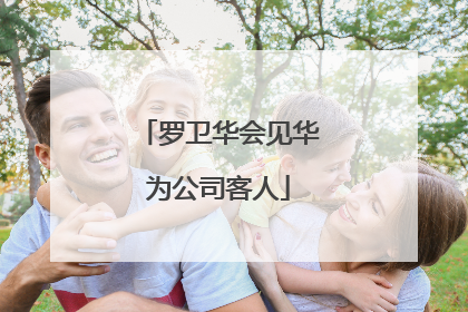 罗卫华会见华为公司客人