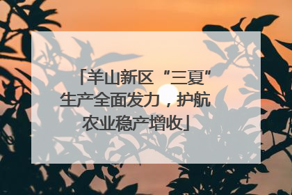 羊山新区“三夏”生产全面发力，护航农业稳产增收