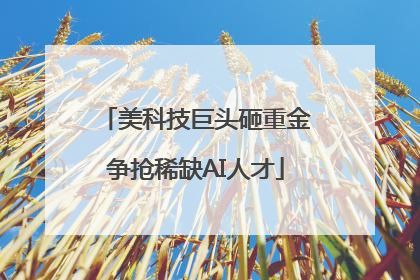 美科技巨头砸重金争抢稀缺AI人才