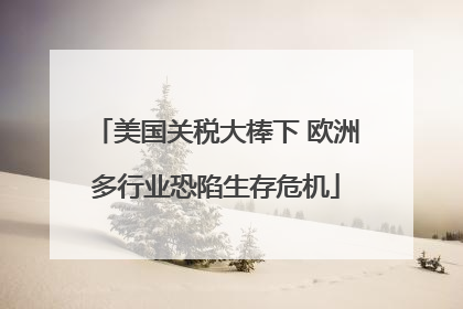 美国关税大棒下 欧洲多行业恐陷生存危机
