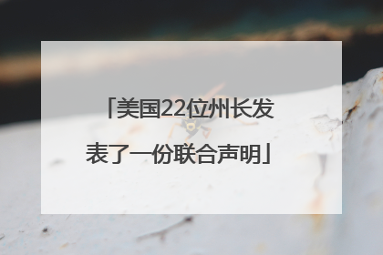 美国22位州长发表了一份联合声明