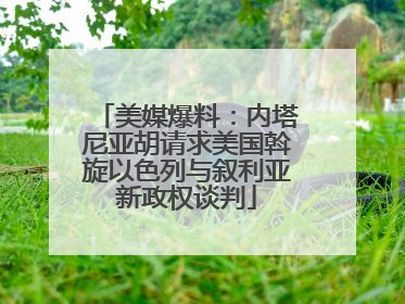 美媒爆料：内塔尼亚胡请求美国斡旋以色列与叙利亚新政权谈判