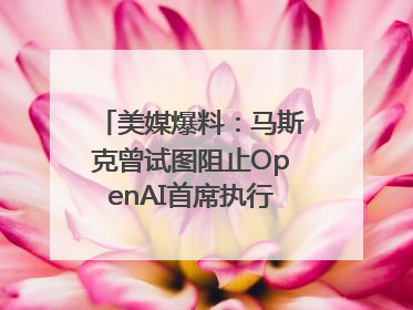 美媒爆料：马斯克曾试图阻止OpenAI首席执行官奥尔特曼在中东的AI交易