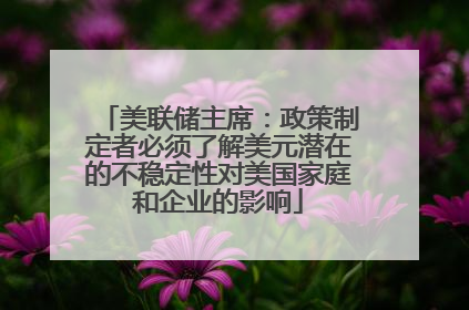 美联储主席：政策制定者必须了解美元潜在的不稳定性对美国家庭和企业的影响