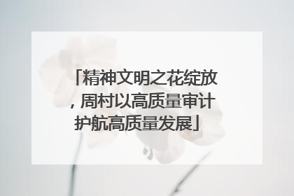 精神文明之花绽放，周村以高质量审计护航高质量发展