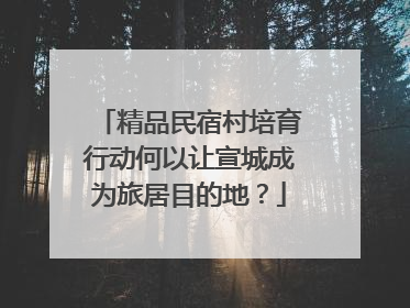 精品民宿村培育行动何以让宣城成为旅居目的地？