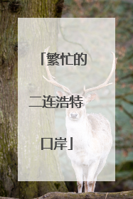 繁忙的二连浩特口岸