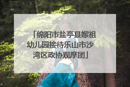 绵阳市盐亭县嫘祖幼儿园接待乐山市沙湾区政协观摩团