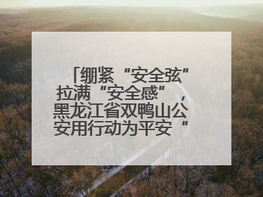 绷紧“安全弦”拉满“安全感”，黑龙江省双鸭山公安用行动为平安“加码”