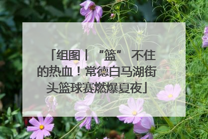 组图丨“篮” 不住的热血！常德白马湖街头篮球赛燃爆夏夜