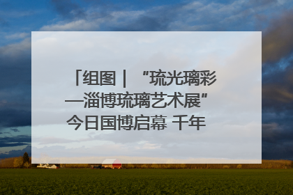 组图｜“琉光璃彩—淄博琉璃艺术展”今日国博启幕 千年窑火绽放京城