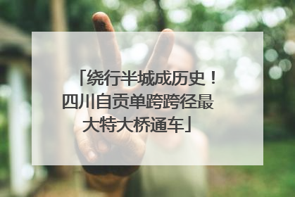 绕行半城成历史！四川自贡单跨跨径最大特大桥通车