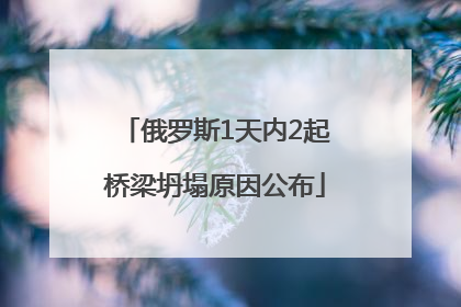 俄罗斯1天内2起桥梁坍塌原因公布