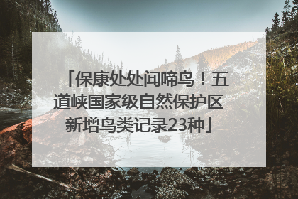 保康处处闻啼鸟！五道峡国家级自然保护区新增鸟类记录23种