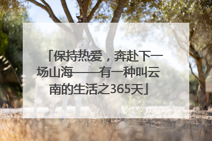 保持热爱，奔赴下一场山海——有一种叫云南的生活之365天