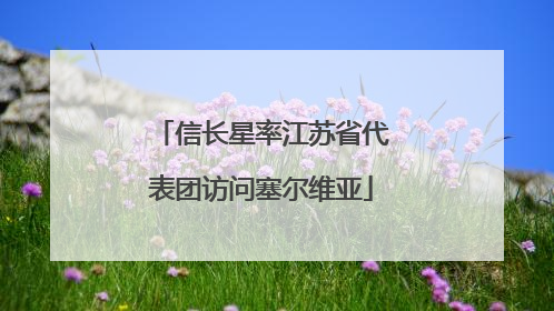 信长星率江苏省代表团访问塞尔维亚