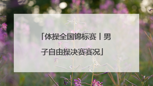 体操全国锦标赛丨男子自由操决赛赛况