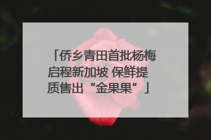 侨乡青田首批杨梅启程新加坡 保鲜提质售出“金果果”