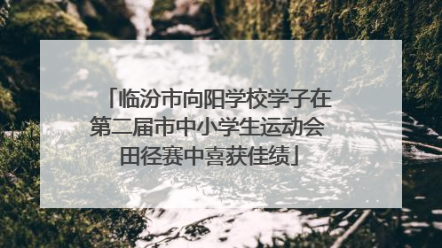 临汾市向阳学校学子在第二届市中小学生运动会田径赛中喜获佳绩