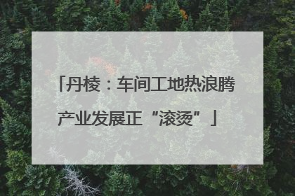 丹棱：车间工地热浪腾产业发展正“滚烫”