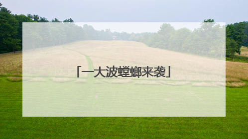 一大波螳螂来袭