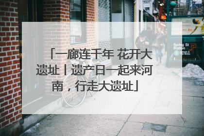 一廊连千年 花开大遗址丨遗产日一起来河南，行走大遗址
