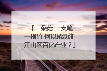 一朵菇 一支笔 一根竹 何以撬动浙江山区百亿产业？