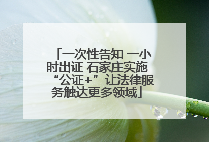 一次性告知 一小时出证 石家庄实施“公证+”让法律服务触达更多领域