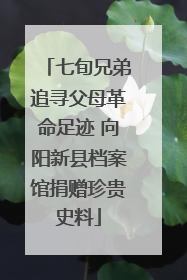 七旬兄弟追寻父母革命足迹 向阳新县档案馆捐赠珍贵史料