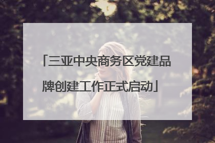 三亚中央商务区党建品牌创建工作正式启动