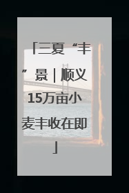三夏“丰”景｜顺义15万亩小麦丰收在即
