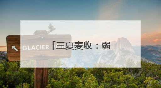 三夏麦收：弱筋小麦如何变得“强”起来