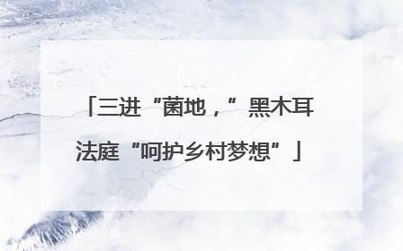 三进“菌地，”黑木耳法庭“呵护乡村梦想”