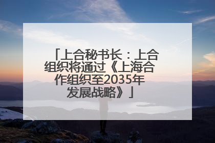 上合秘书长：上合组织将通过《上海合作组织至2035年发展战略》