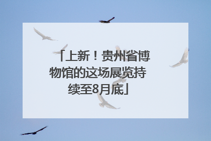 上新！贵州省博物馆的这场展览持续至8月底