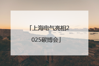 上海电气亮相2025碳博会