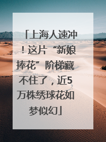 上海人速冲！这片“新娘捧花”阶梯藏不住了，近5万株绣球花如梦似幻