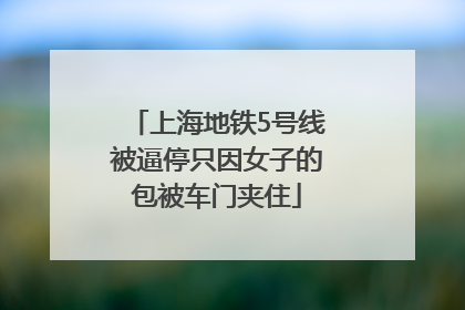 上海地铁5号线被逼停只因女子的包被车门夹住
