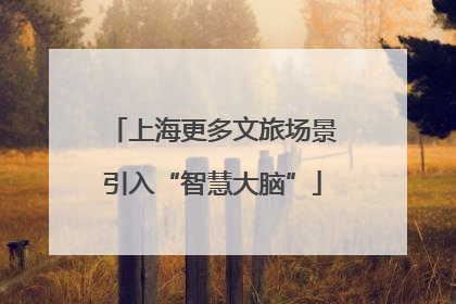 上海更多文旅场景引入“智慧大脑”