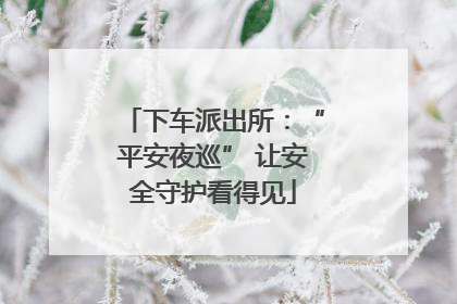 下车派出所：“平安夜巡” 让安全守护看得见
