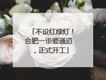 不设红绿灯！合肥一重要通道，正式开工