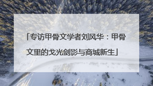 专访甲骨文学者刘风华：甲骨文里的戈光剑影与商城新生
