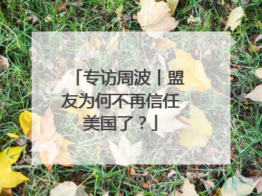 专访周波丨盟友为何不再信任美国了？