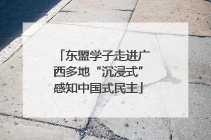 东盟学子走进广西多地“沉浸式”感知中国式民主