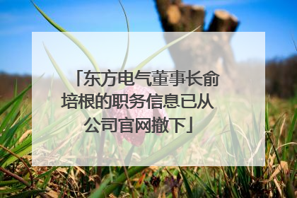 东方电气董事长俞培根的职务信息已从公司官网撤下