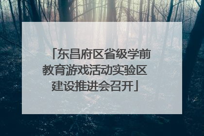 东昌府区省级学前教育游戏活动实验区建设推进会召开